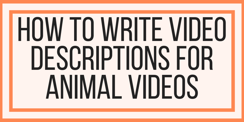 How To Write Video Descriptions For Animal Videos