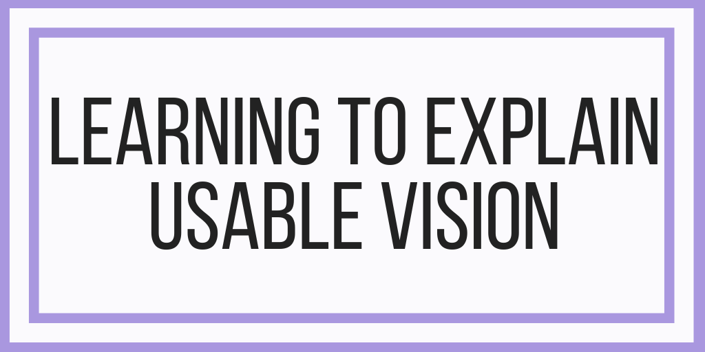 Learning To Explain Usable Vision