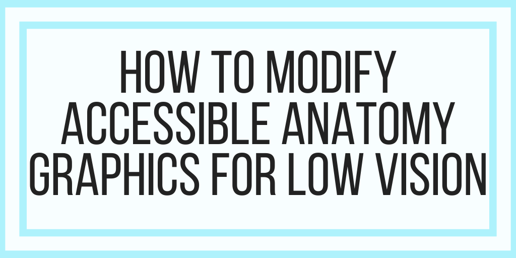 How To Modify Accessible Anatomy Graphics For Low Vision